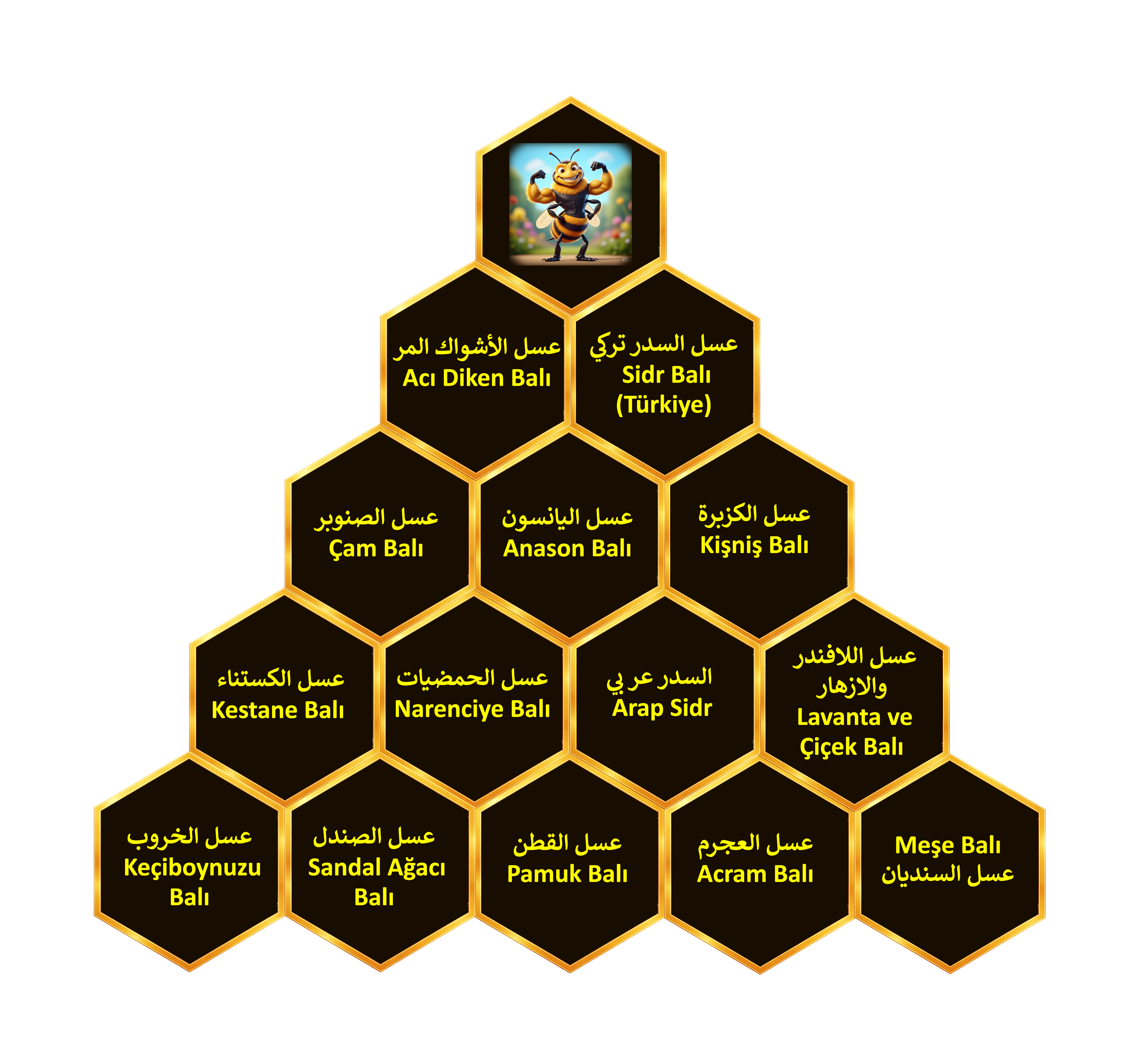 باقي الأنواع