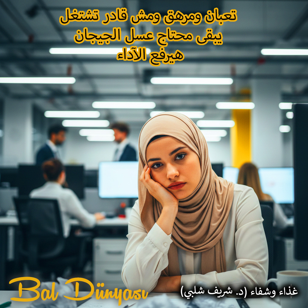 المجدول المصري - صورة 2